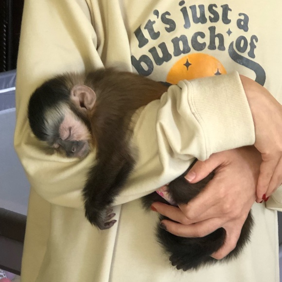 Like this post to get notified of my live shows! - Picture 7 of 11